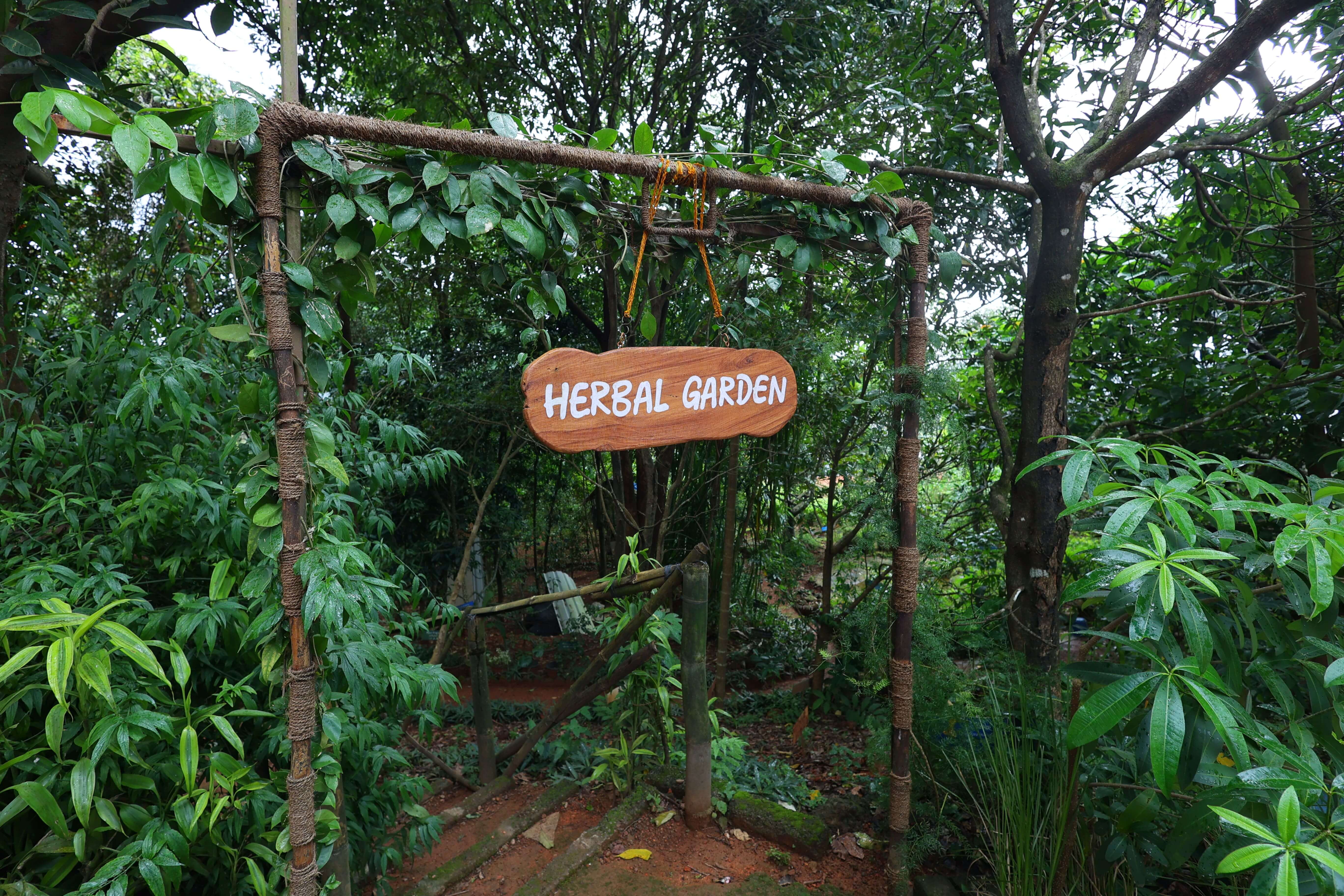 Medicinal Plant Beds